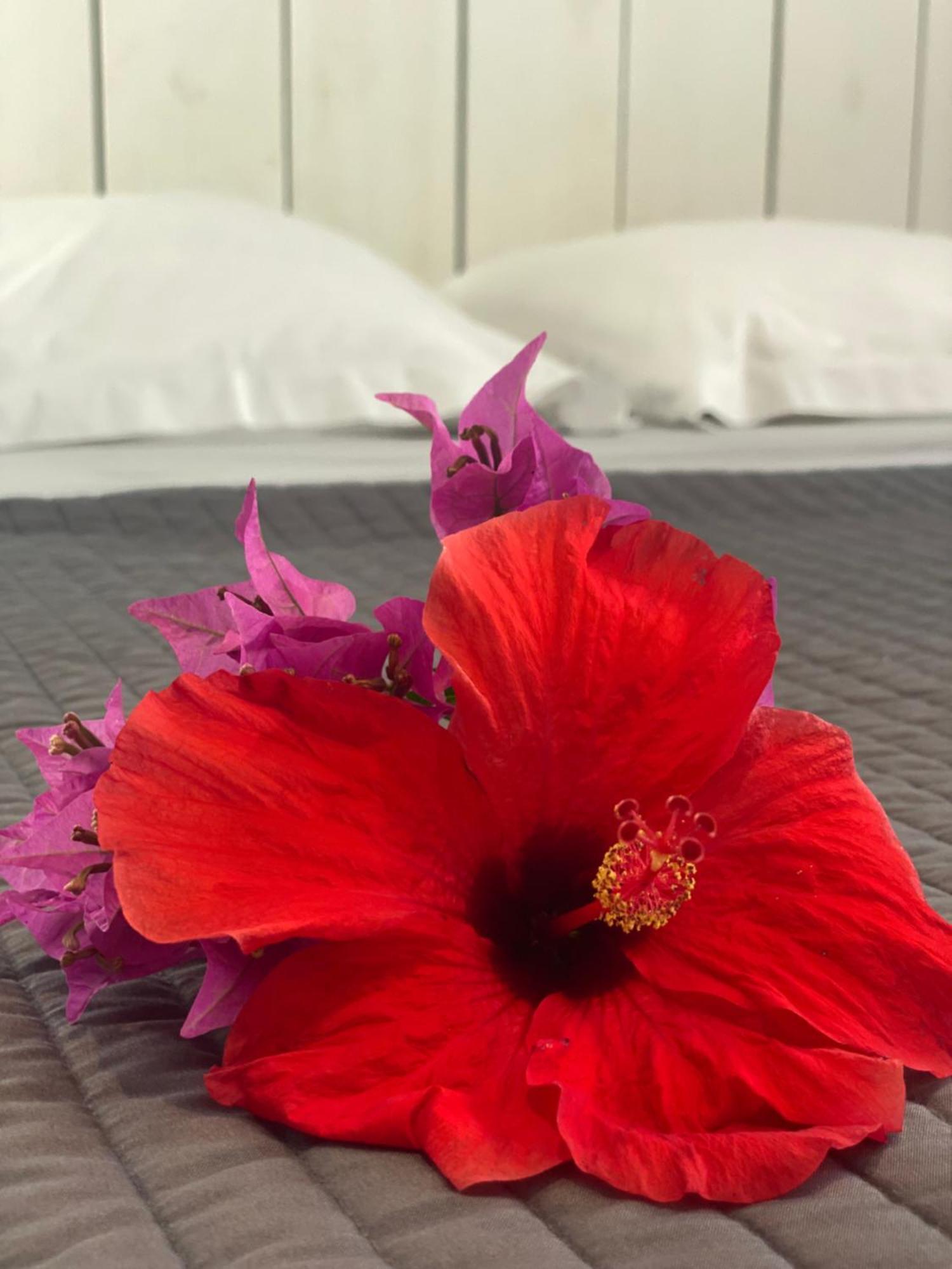 La Maison Calebasse Otel Saint-Francois  Dış mekan fotoğraf